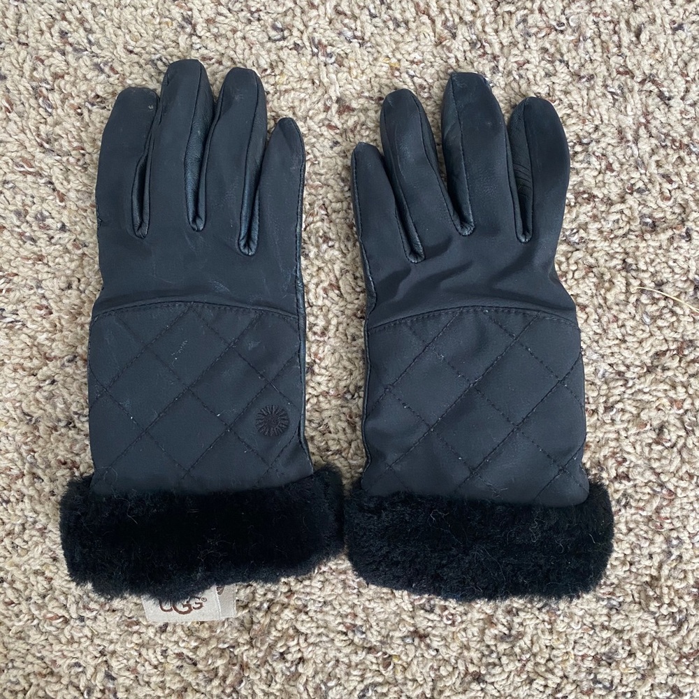 UGG Gloves